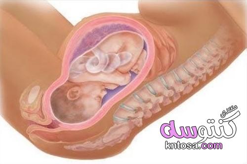 اعراض نزول الجنين في الحوض,أهم أعراض الولادة kntosa.com_18_19_155