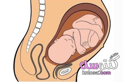 اعراض نزول الجنين في الحوض,أهم أعراض الولادة kntosa.com_18_19_155