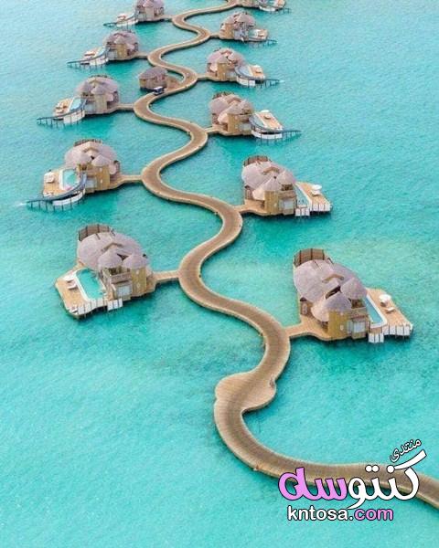 اروع صورًا من شواطئ المالديف,أفضل 10 شواطئ في جزر المالديف,سياحية في جزر المالديف kntosa.com_18_19_155