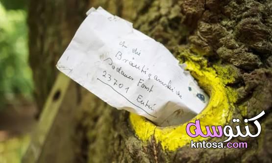 شجرة الحب.. صندوق البريد الذي تسبب في زواج المئات 2020 kntosa.com_18_19_157