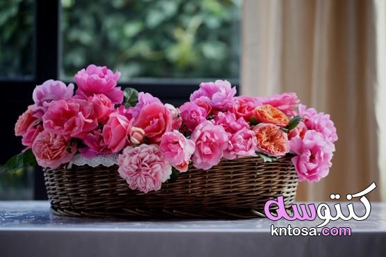 باقات الزهور الجميلة،اجمل باقة ورد رومانسية،اجمل باقات الورد الطبيعي kntosa.com_18_21_161