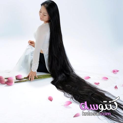 وصفات طبيعية لتطويل الشعر في البيت في وقت قصير ونتيجة فعالة kntosa.com_18_21_163