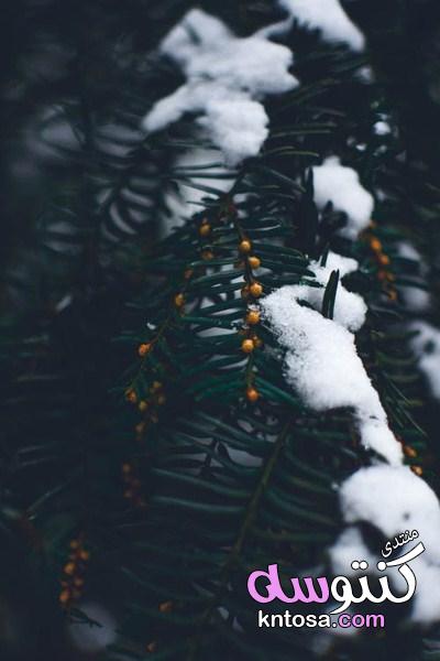مناظر الشتاء الجميلة,صور المناظر الطبيعية في فصل الشتاء,صور مناظر طبيعية للشتاء 2019جميلة kntosa.com_19_18_154