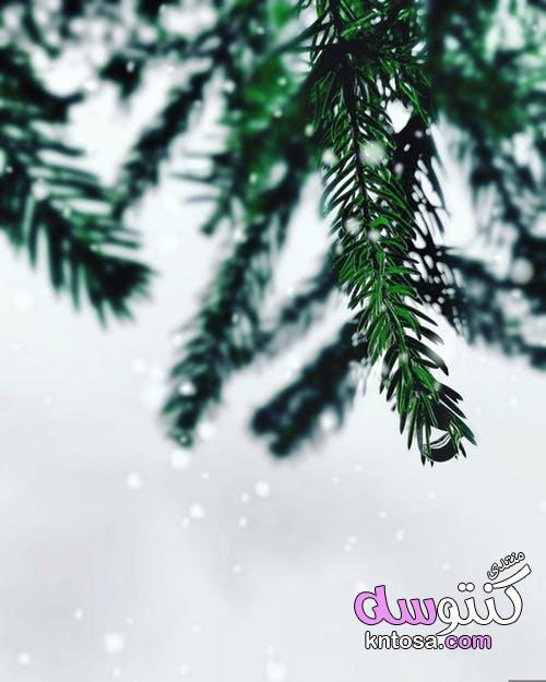 مناظر الشتاء الجميلة,صور المناظر الطبيعية في فصل الشتاء,صور مناظر طبيعية للشتاء 2019جميلة kntosa.com_19_18_154