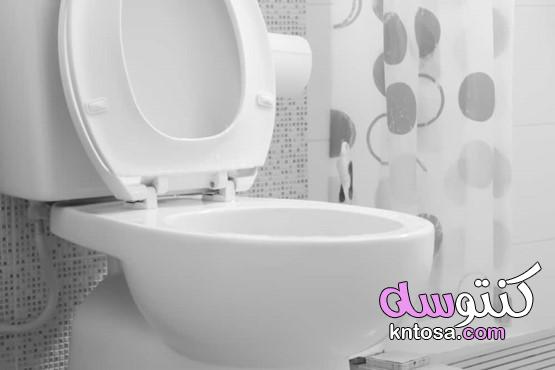 4 مشاكل صحية معرضة للظهور عند استخدام المرحاض القذر kntosa.com_19_19_157