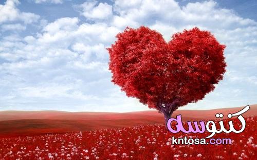 نصائح للحفاظ على الحب حيا kntosa.com_19_21_162