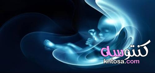 في أي شهر يزول خطر الإجهاض kntosa.com_19_21_162