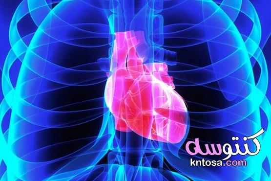 تؤثر على القلب والذاكرة.. فوائد القيلولة المذهلة 2020 kntosa.com_20_19_157