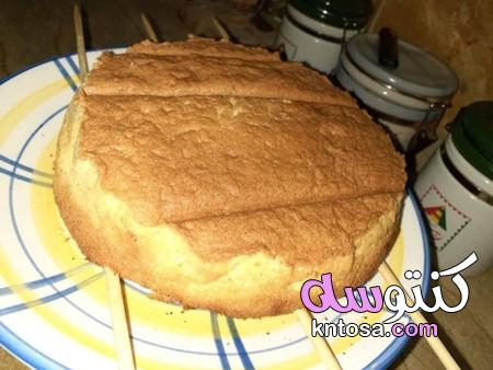 الكيكة الاسفنجية بدقيق الاسبونش،انجح طريقة للكيكة الاسفنجية، اسهل طريقة لعمل الكيكة الاسفنجية kntosa.com_20_19_157