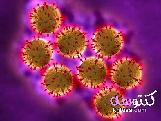 فيروس الروتا.. الأسباب والأعراض وطرق العلاج 2021 kntosa.com_20_20_160