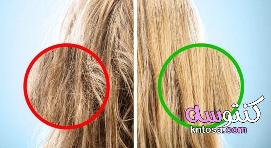 أشهر أخطاء تمشيط الشعر التي تصيبه بالتلف 2022 kntosa.com_20_21_161