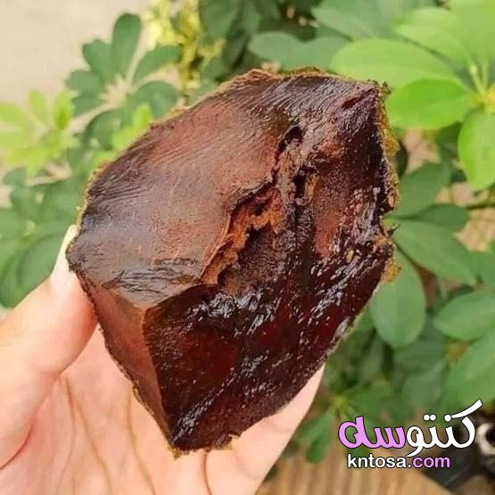 فاكهة السابوتا (( الشوكولا الربَّانية )) kntosa.com_20_21_161