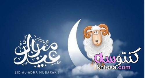 بطاقة معايدة بالاسم بمناسبة عيد الأضحى 2021،ابحث عن اسمك صور العيد الكبير بالخروف kntosa.com_20_21_162