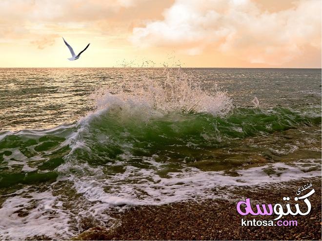 اجمل الصور لموج البحر،مناظر البحر الخلابة،مناظر البحر الطبيعية,صور وخلفيات طبيعية عن البحر kntosa.com_21_18_154