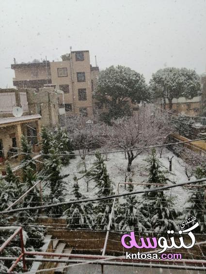 بالصور رحلتى الى شوارع لبنان فى موسم الشتاء والثلوج من تصورى 2019 kntosa.com_21_19_154