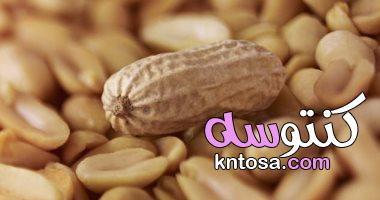 5 فوائد لتناول الفول السودانى.. خليه على طول فى وجباتك اليومية kntosa.com_21_19_156