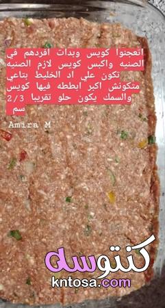 طريقة عمل البطاطس باللحمة المفرومة بالطريقة المصرية kntosa.com_21_19_157