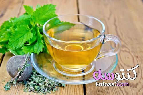 أفضل 4 خيارات من الشاي يمكنك الاستمتاع بها قبل النوم kntosa.com_21_19_157