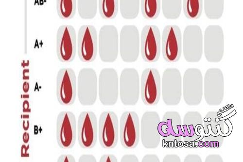 انواع فصائل الدم النادرة,ما هو أندر فصيلة دم,ما الذي يحدد فصيلة الدم kntosa.com_22_19_155