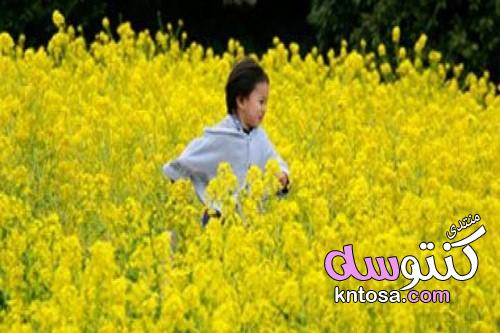 7 معلومات عن الاعتدال الربيعي kntosa.com_22_19_155