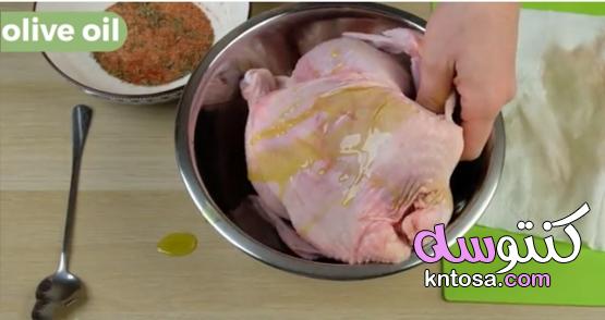 كيفية استخدام التتبيلات الجافة للدجاج kntosa.com_22_20_160