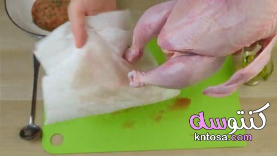 كيفية استخدام التتبيلات الجافة للدجاج kntosa.com_22_20_160