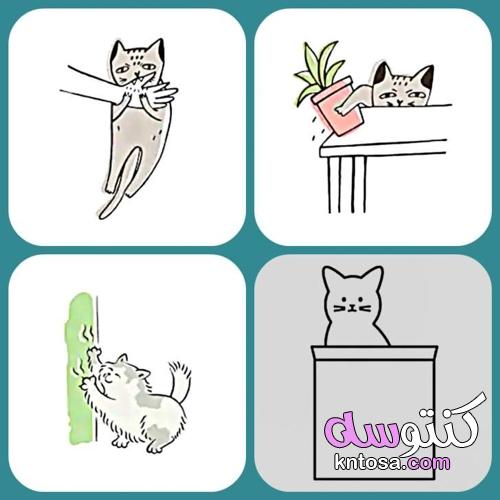 9 عادات قطة سيئة يتبناها البشر kntosa.com_22_21_162