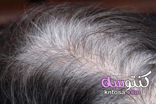 الحيلة في تلوين الشعر الأبيض ووقف تساقط الشعر بشكل طبيعي kntosa.com_22_22_164