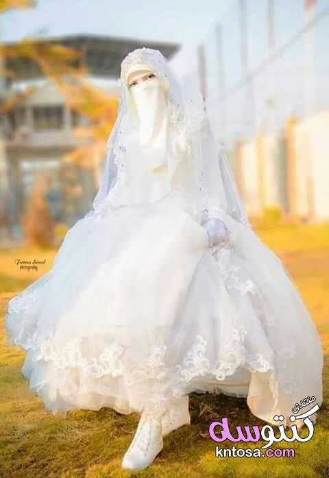 صور فساتين زفاف للمنقبات,فساتين زفاف للمنتقبات اخر جمال,عروسة منتقبة جميلة جدا,فساتين زفاف منتقبات kntosa.com_23_19_154