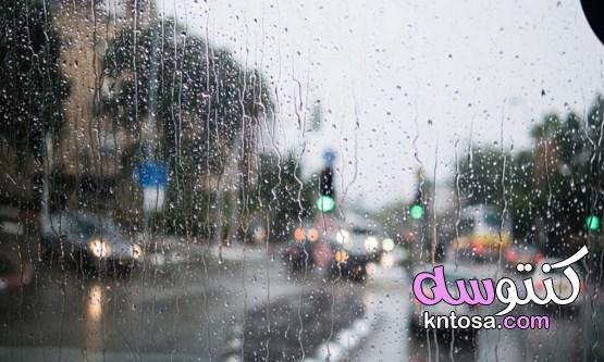لماذا نشم رائحة الأمطار؟ البتريكور المطر رائحة الأمطار kntosa.com_23_19_157