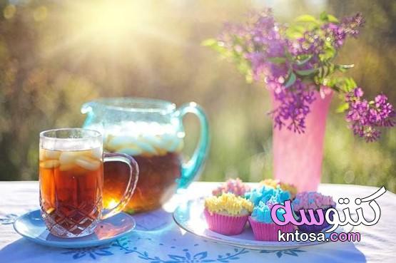 كيفية صنع الشاي المثلج المثالي في المنزل kntosa.com_23_21_161