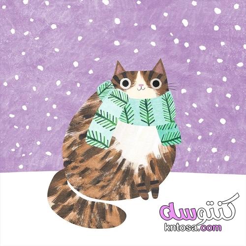 صور قطط ترتدى ارتداء أوشحة للشتاء 2022 kntosa.com_23_22_164