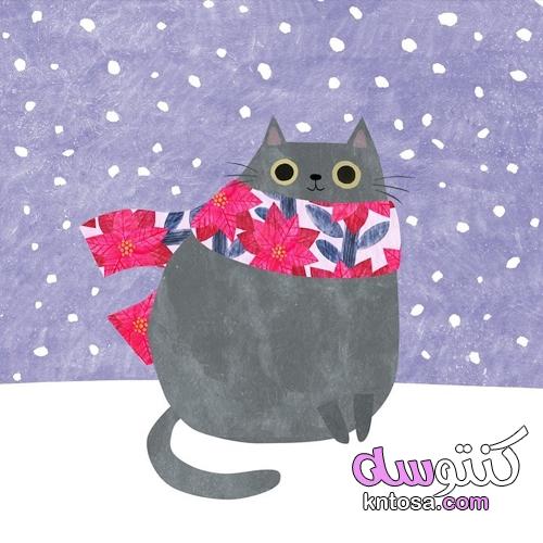 صور قطط ترتدى ارتداء أوشحة للشتاء 2022 kntosa.com_23_22_164