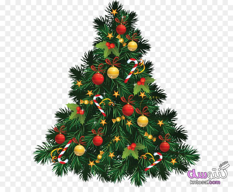 سكرابز شجرة الكريسماس,سكرابز للكريسماس,شجر الكريسماس للفوتوشوب,سكرابز شجرة عيد الميلاد kntosa.com_24_18_154
