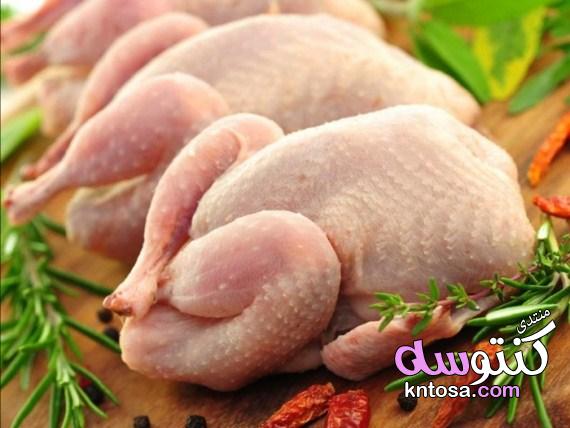 طرق اختيار الفروج الطازجة,كيفية اختيار الدجاج,5 قواعد مهمة لمعرفة الدجاج الطازج عند شرائه kntosa.com_24_19_155
