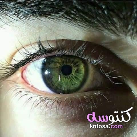 العيون الخضراء للنساء , عيون خضراء فيس بوك,عيون خضراء فاتحة , رمزيات عيون خضر kntosa.com_24_19_156