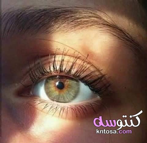 العيون الخضراء للنساء , عيون خضراء فيس بوك,عيون خضراء فاتحة , رمزيات عيون خضر kntosa.com_24_19_156