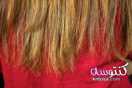 خطورة ربط الشعر بطريقة ذيل الحصان قبل النوم 2021 kntosa.com_24_20_160