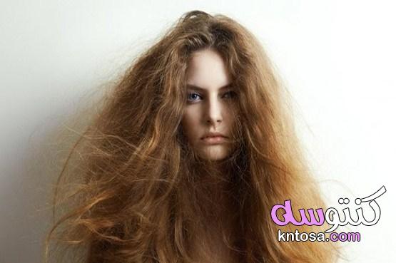 أفضل طرق علاج جفاف الشعر 2021 kntosa.com_24_21_162