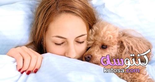 أعلن العلماء! أن تنام مع كلب أفضل من أن تنام مع رجل! kntosa.com_24_21_162