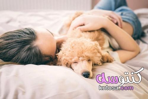 أعلن العلماء! أن تنام مع كلب أفضل من أن تنام مع رجل!