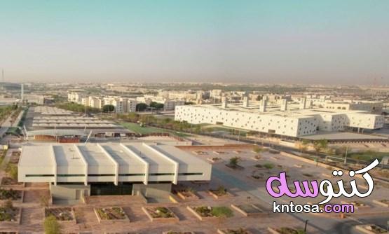 أهم المعلومات حول مدينة قطر التعليمية kntosa.com_24_22_164