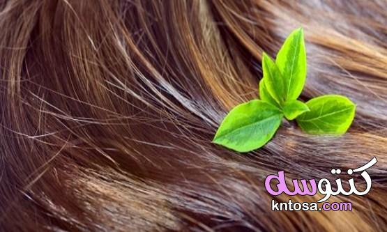 كيف تكثفين شعرك ،طرق تكثيف الشعر، وصفات لتكثيف الشعر kntosa.com_25_19_156