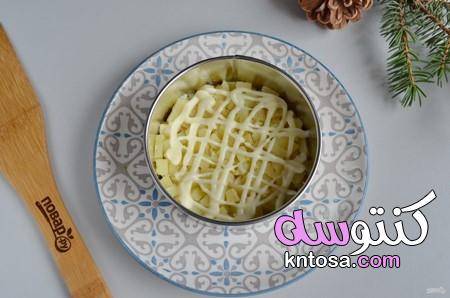 بالصور كعكة سلطة الرنجة من المطبخ الروسى،اكلات راس السنه 2020 kntosa.com_25_19_157
