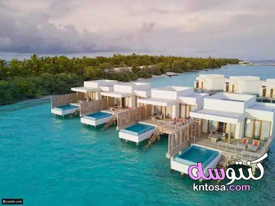 نصائح قبل السفر إلى جزر المالديف اختيار منتجعك بجزر المالديف الوصول إلى جزر المالديف 2020 kntosa.com_25_20_157