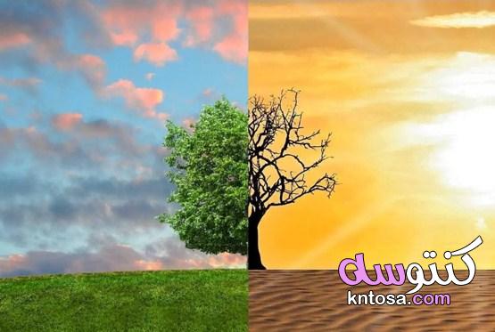 عناصر المناخ.. كيف تحدد الطقس السائد؟ kntosa.com_25_20_160