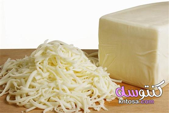 خطوات صناعة الجبن الموزاريلا،نصيحه ومعلومه عن الجبن الموتزريلا kntosa.com_25_21_161