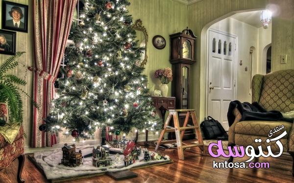 بالصور اشكال مختلفه لشجرة راس السنه،اجمل ديكورات شجرة الكريسماس2019،تزيين شجره الميلاد للمنزل kntosa.com_26_18_154