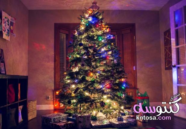 بالصور اشكال مختلفه لشجرة راس السنه،اجمل ديكورات شجرة الكريسماس2019،تزيين شجره الميلاد للمنزل kntosa.com_26_18_154