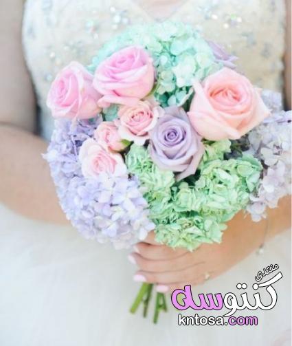 باقات ورد للعروس بألوان الباستيل موضة 2019 kntosa.com_26_19_155